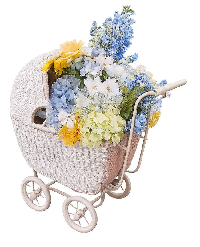 Vintage Pram