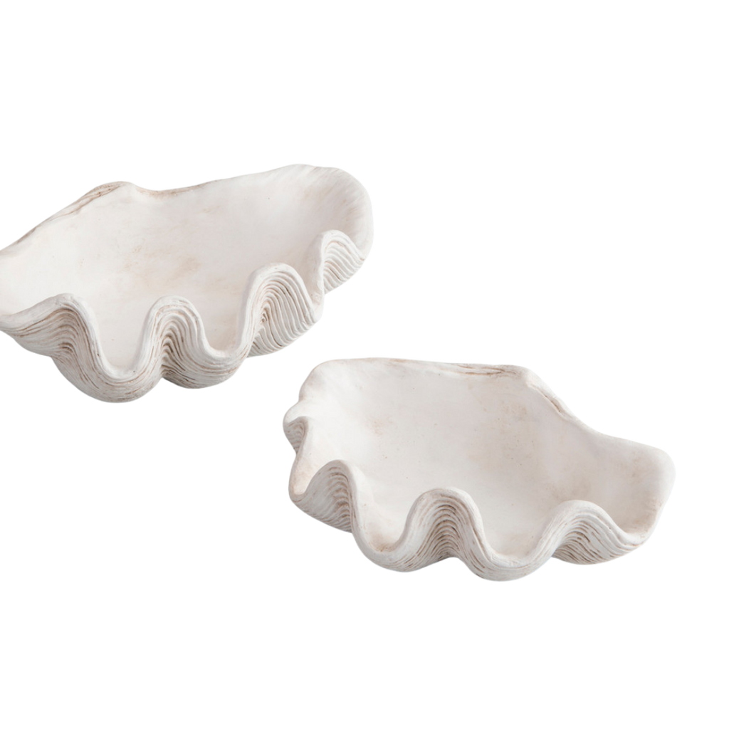 Clam Shell Bowl