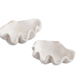 Clam Shell Bowl