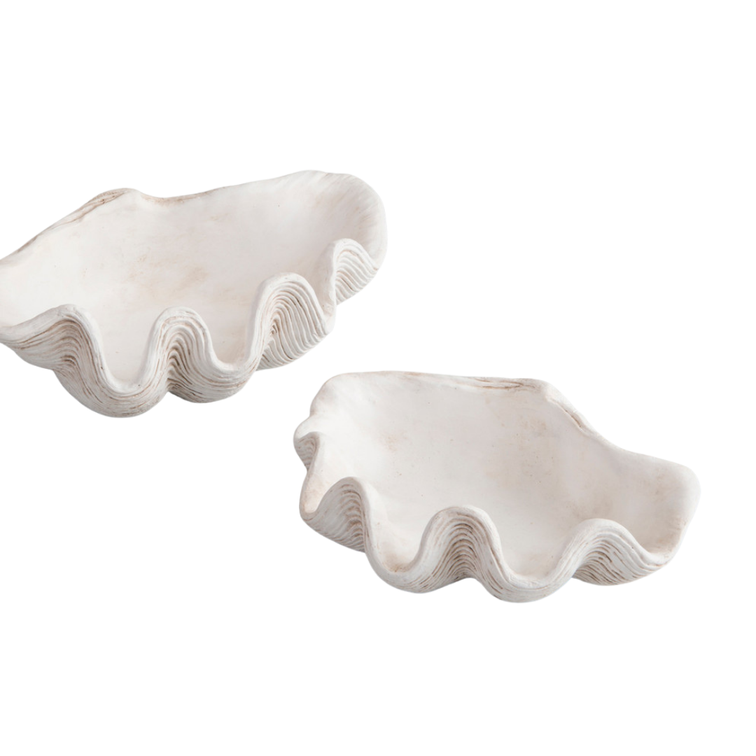 Clam Shell Bowl