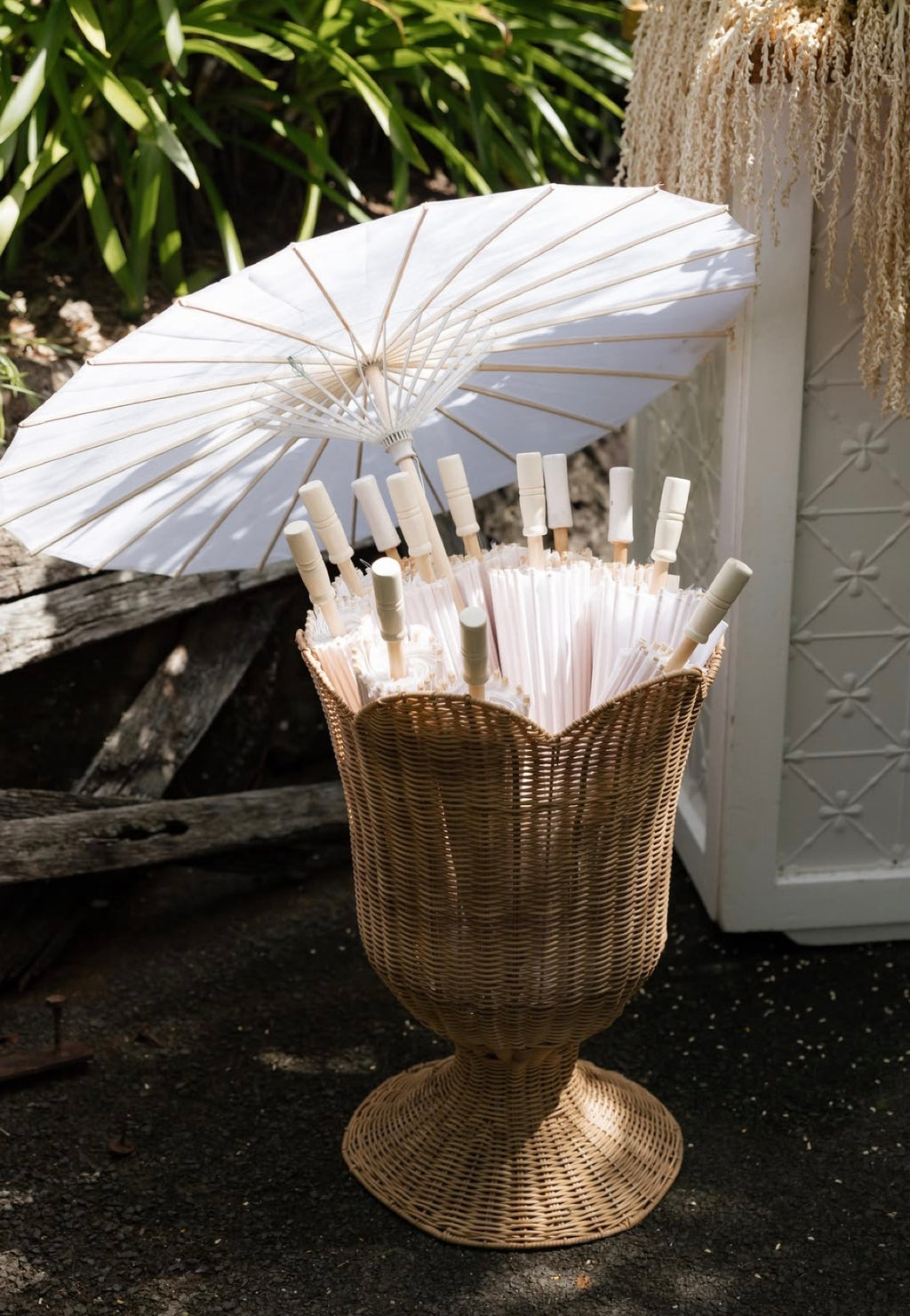 Parasol Umbrella's