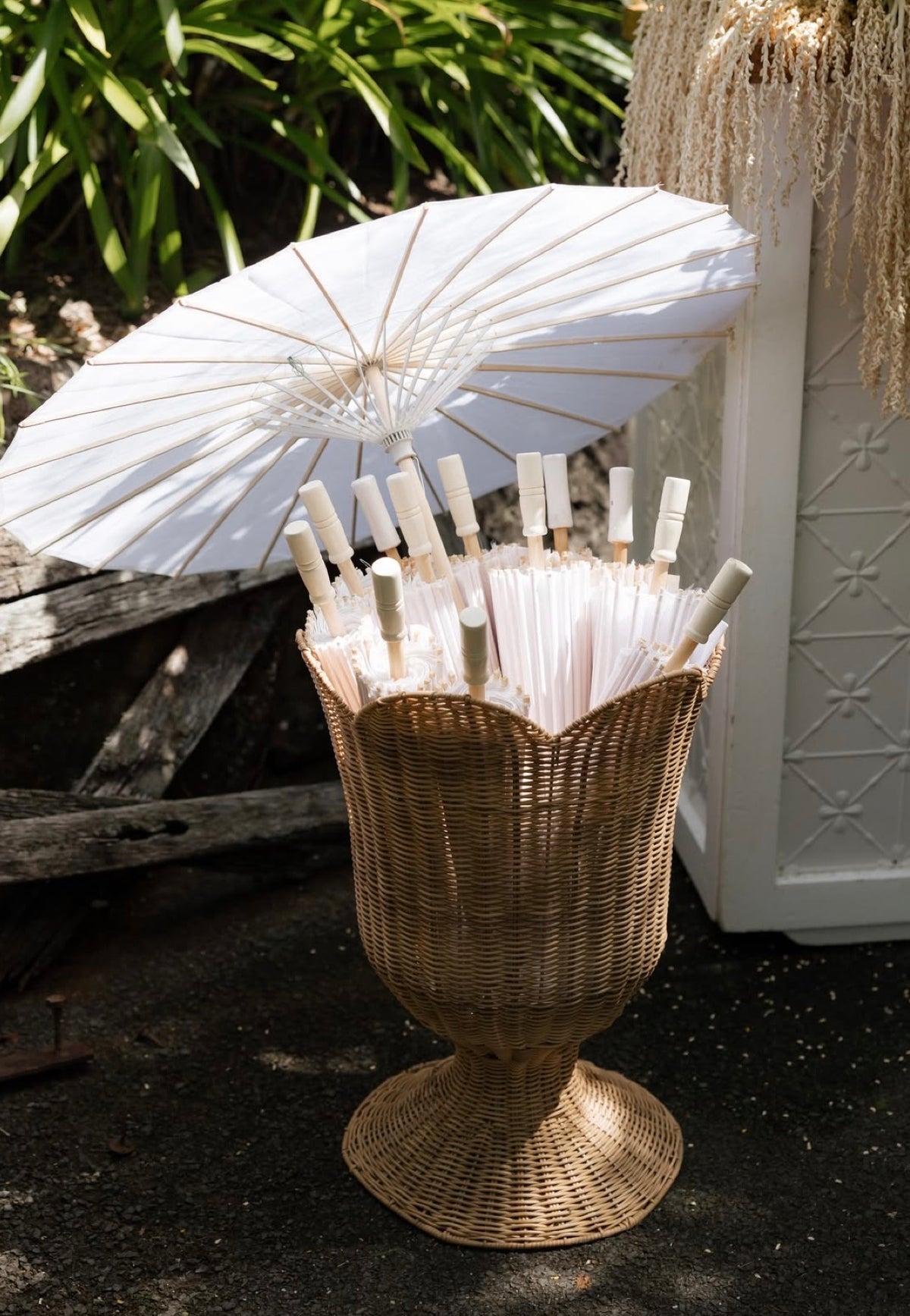 Parasol Umbrella's